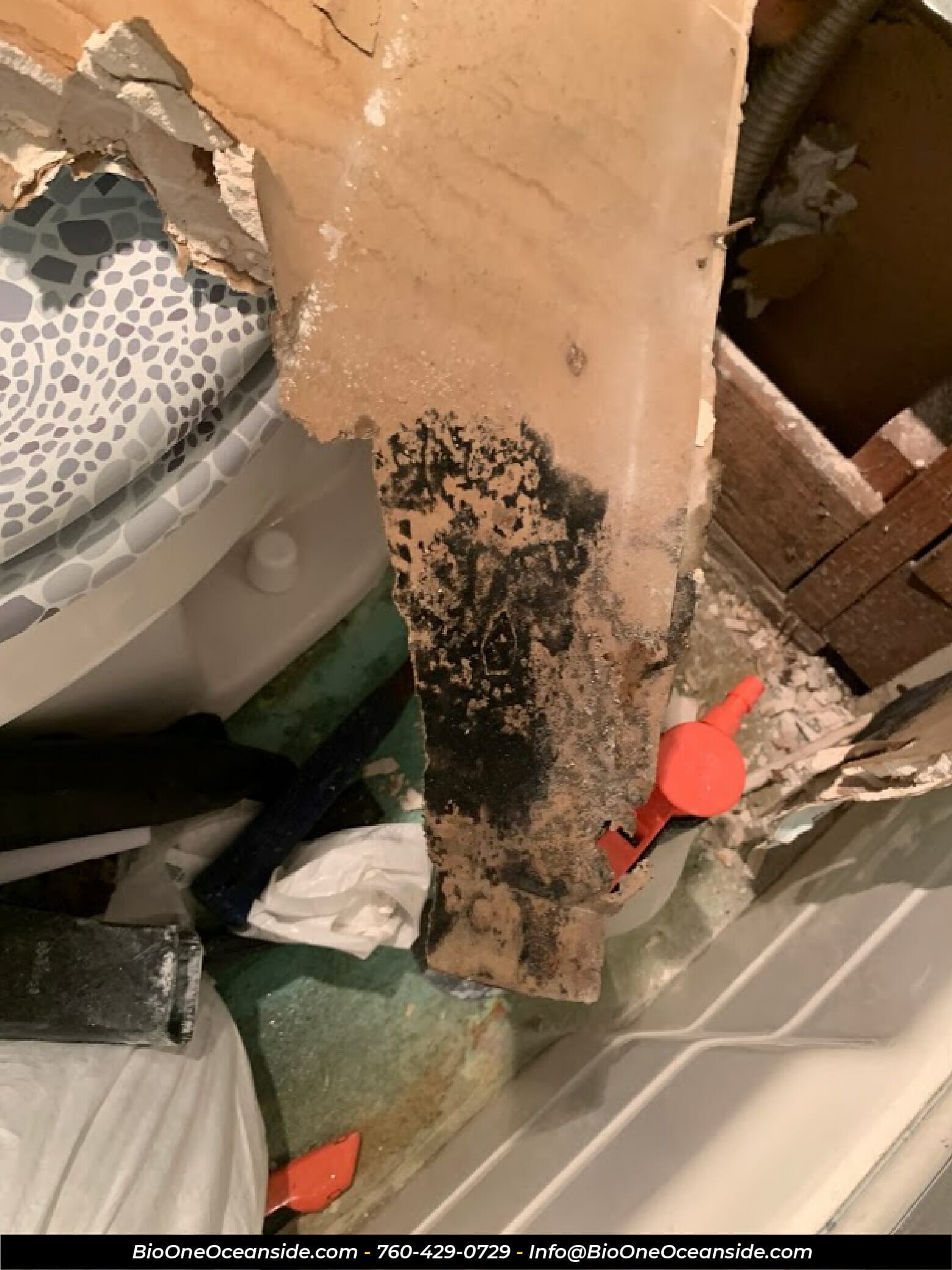 Mold and water damage. Photo credit: Bio-One of Oceanside.