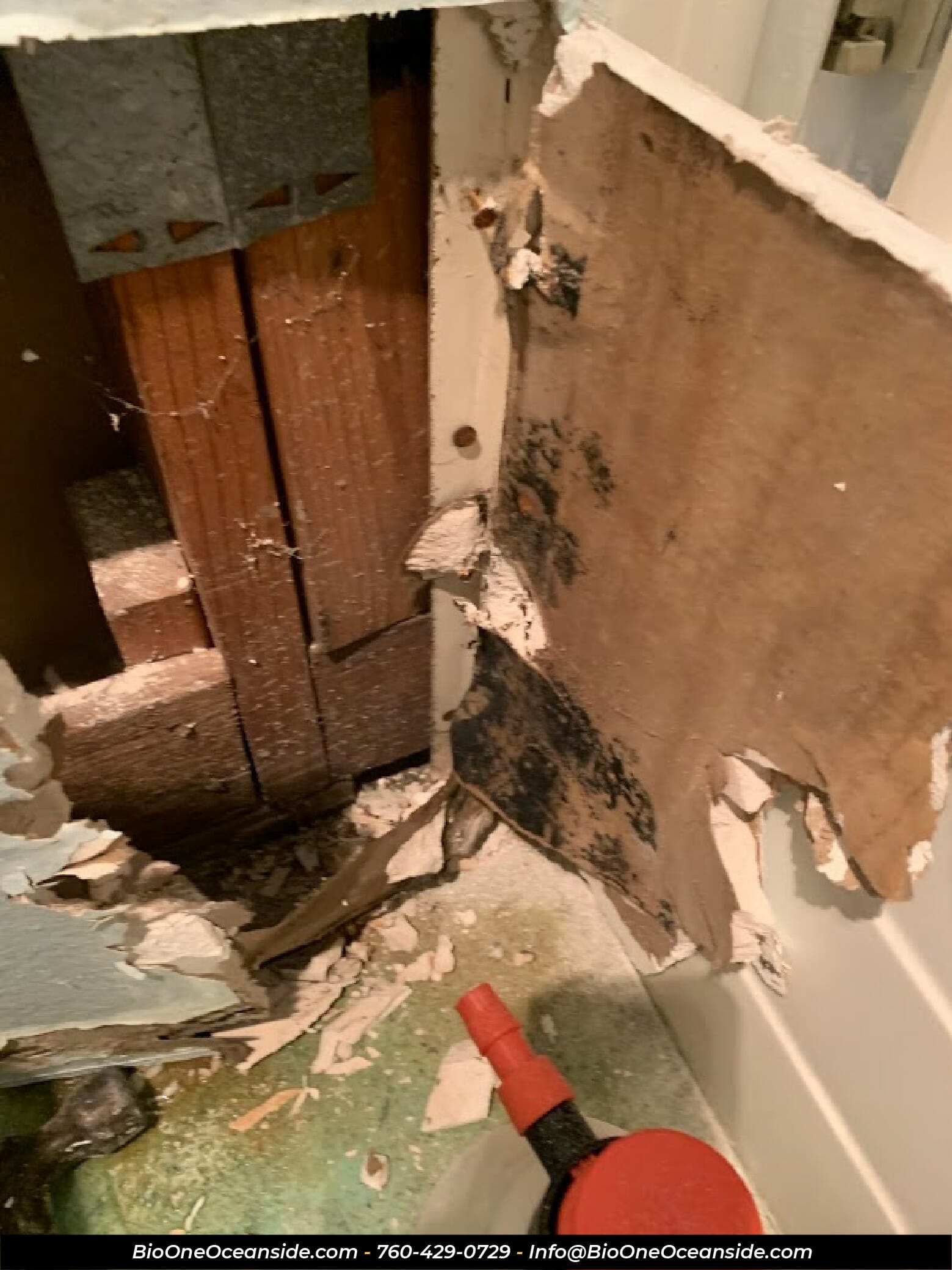 Mold damage inside drywall panels. Photo credit: Bio-One of Oceanside.