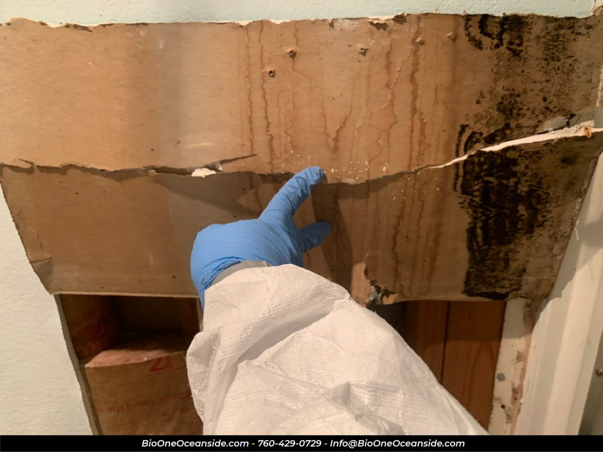 Drywall panel damaged by mold and water. Photo credit: Bio-One of Oceanside.