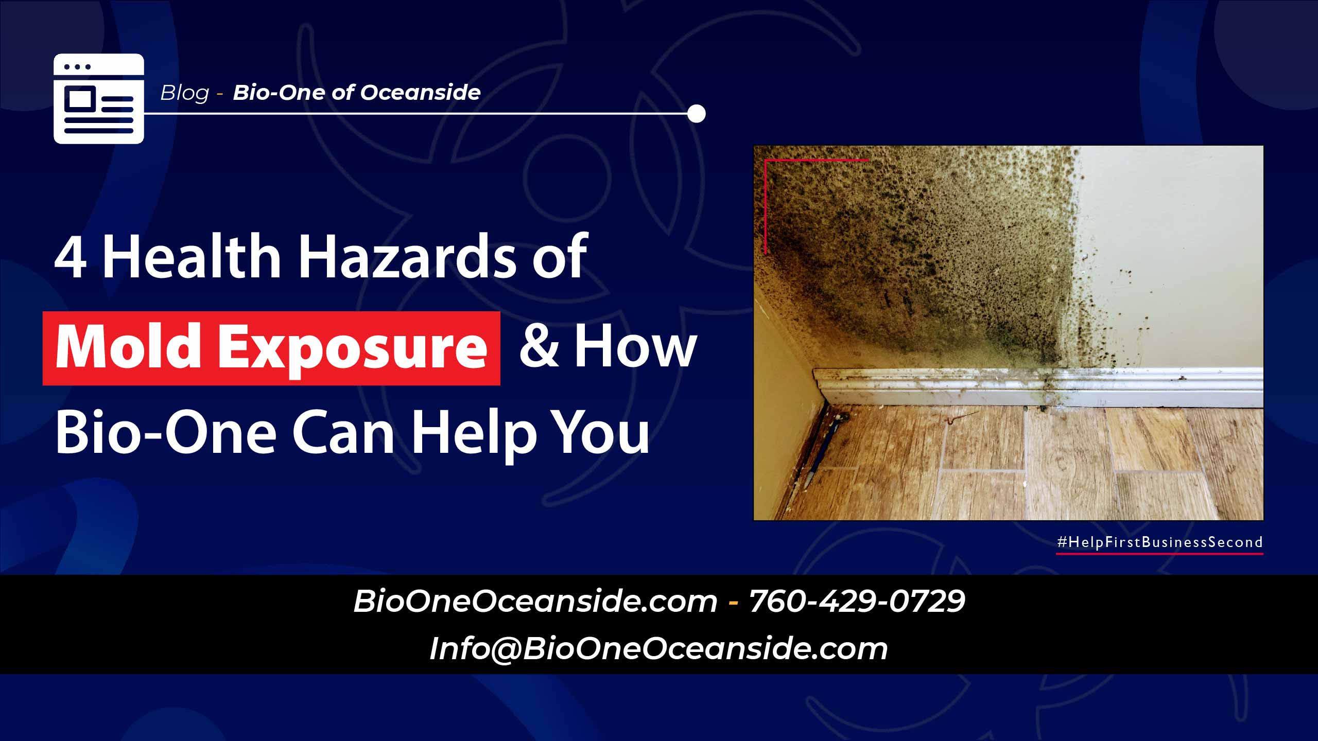 4 Health Hazards of Mold Exposure & How Bio-One Can Help You