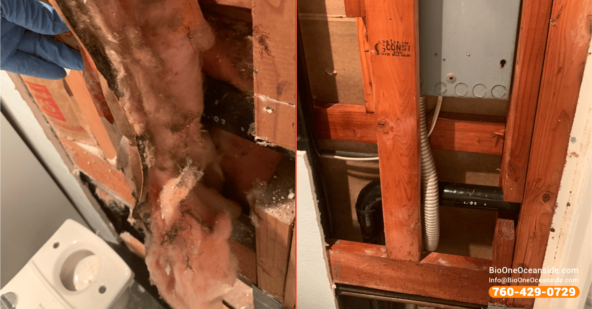 Water damage restoration - Before and after.