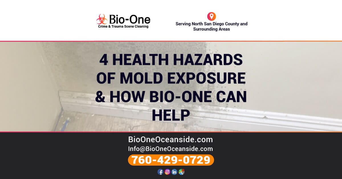 4 Health Hazards of Mold Exposure & How Bio-One Can Help You