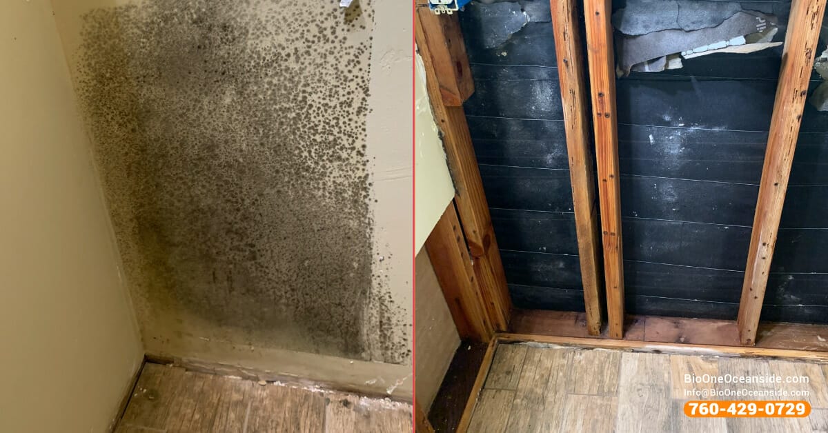 Bio-One of Oceanside - Mold remediation services before and after.