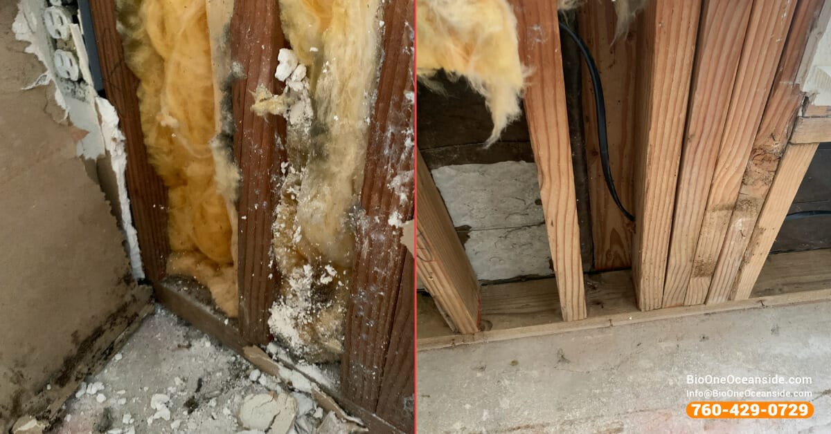 Mold and water restoration before and after job.