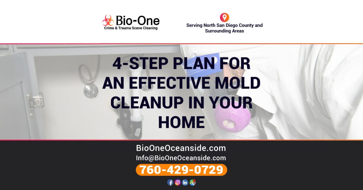 4-Step Plan for An Effective Mold Cleanup in Your Home - Bio-One of Oceanside.