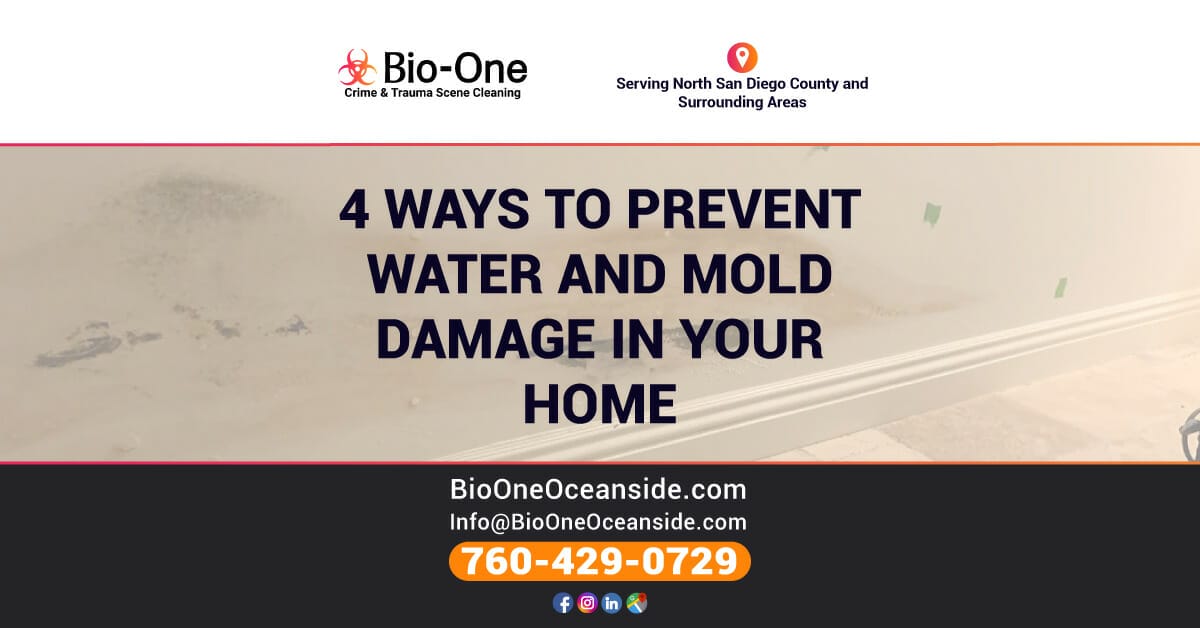 4 Ways to Prevent Water and Mold Damage in Your Home - Bio-One of Oceanside.