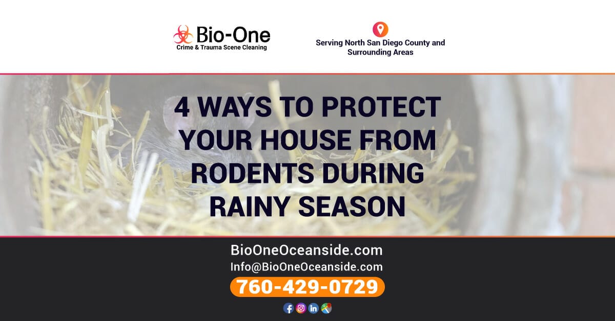 4 Ways To Protect Your House from Rodents During Rainy Season - Bio-One of Oceanside.