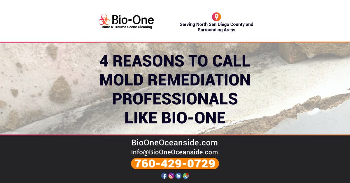 4 Reasons to Call Mold Remediation Professionals like Bio-One of Oceanside