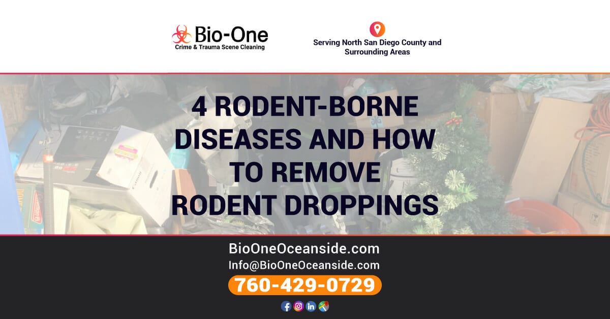 4 Rodent-borne Diseases and How to Remove Rodent Droppings - Bio-One of Oceanside.