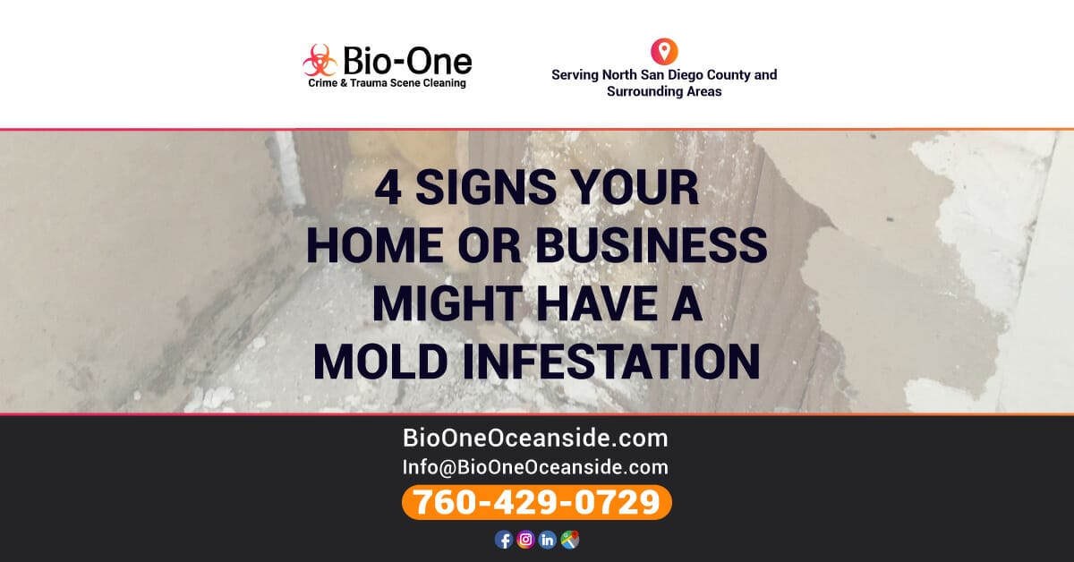 4 Signs Your Home or Business Might Have a Mold Infestation - Bio-One of Oceanside.