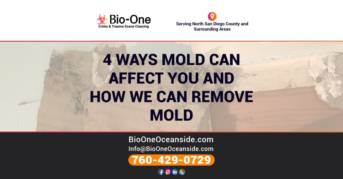 4 Ways Mold Can Affect You and How We Can Remove Mold - Bio-One of Oceanside.