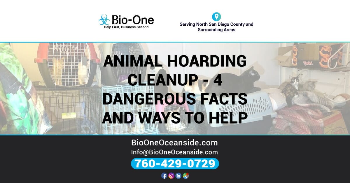 Animal Hoarding Cleanup - 4 Dangerous Facts and Ways to Help - Bio-One of Oceanside.