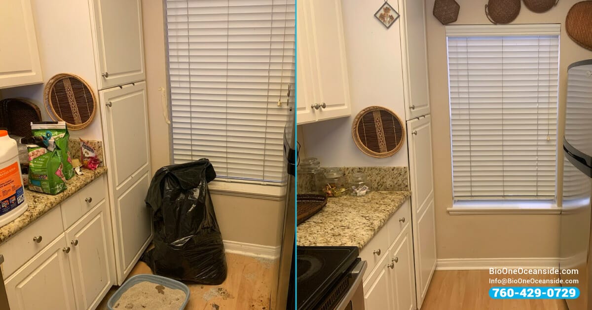 Animal hoarding cleanup - Before and after.
