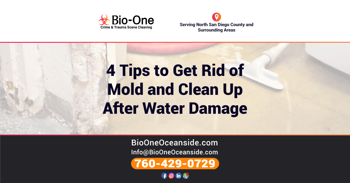 4 Tips to Get Rid of Mold and Clean Up After Water Damage