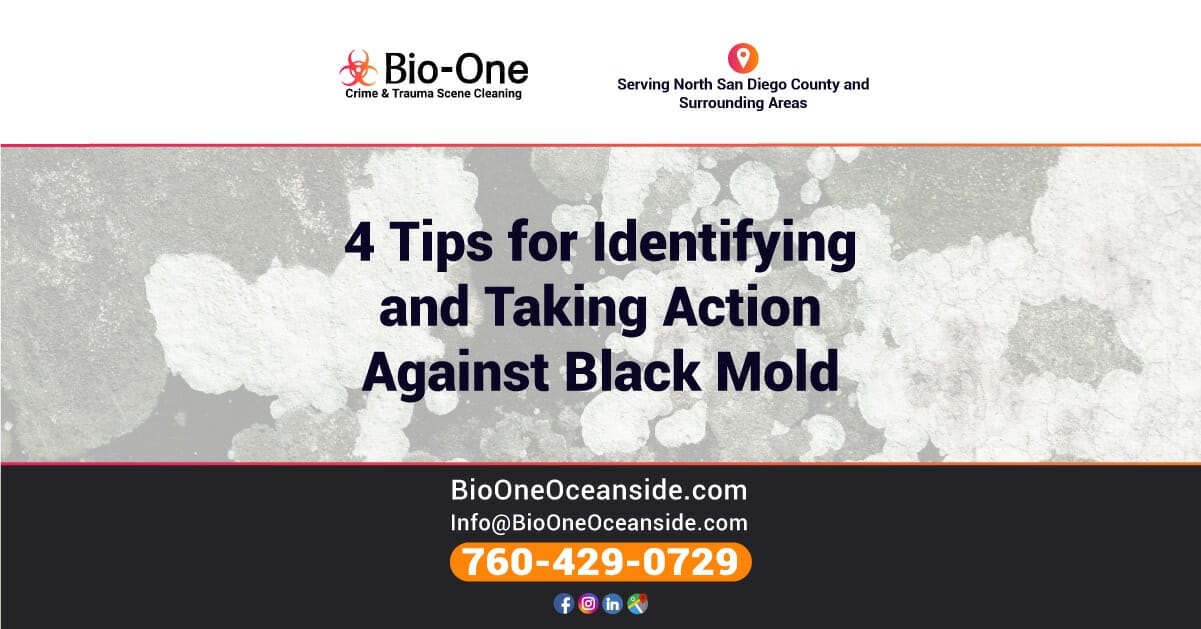 4 Tips for Identifying and Taking Action Against Black Mold