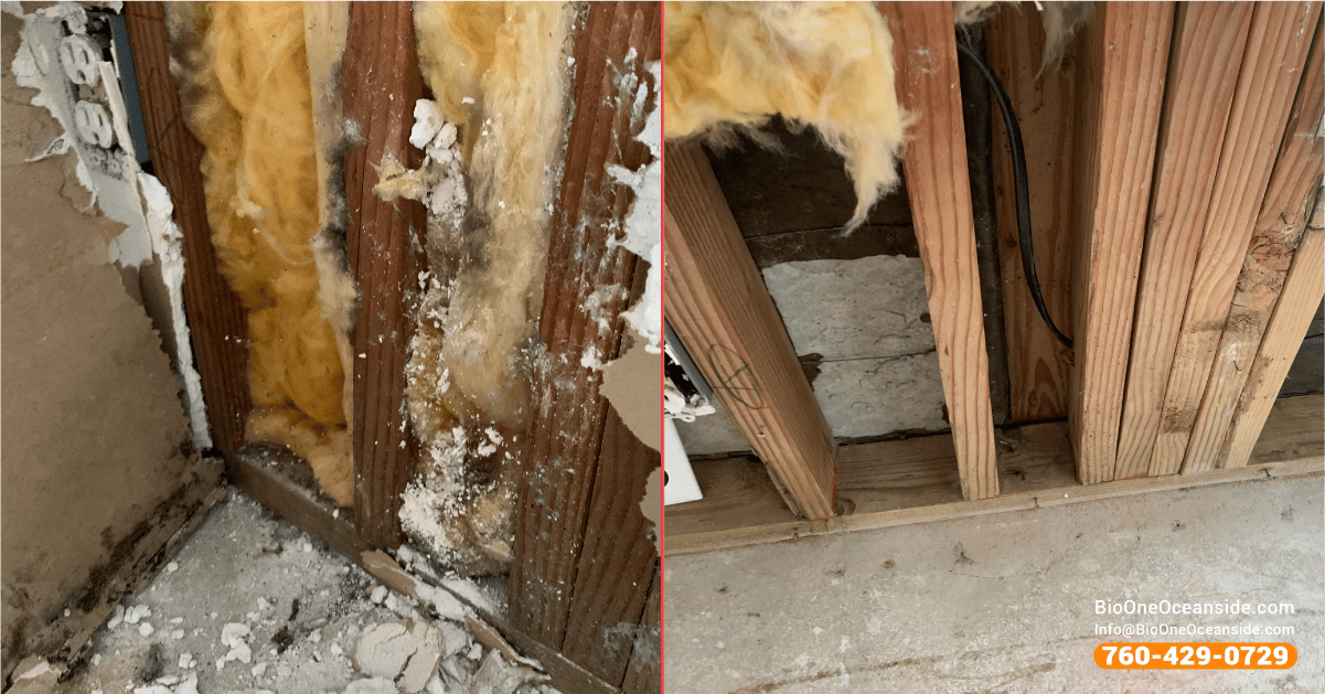 Mold damage remediation - Before and after. Bio-One of Oceanside.
