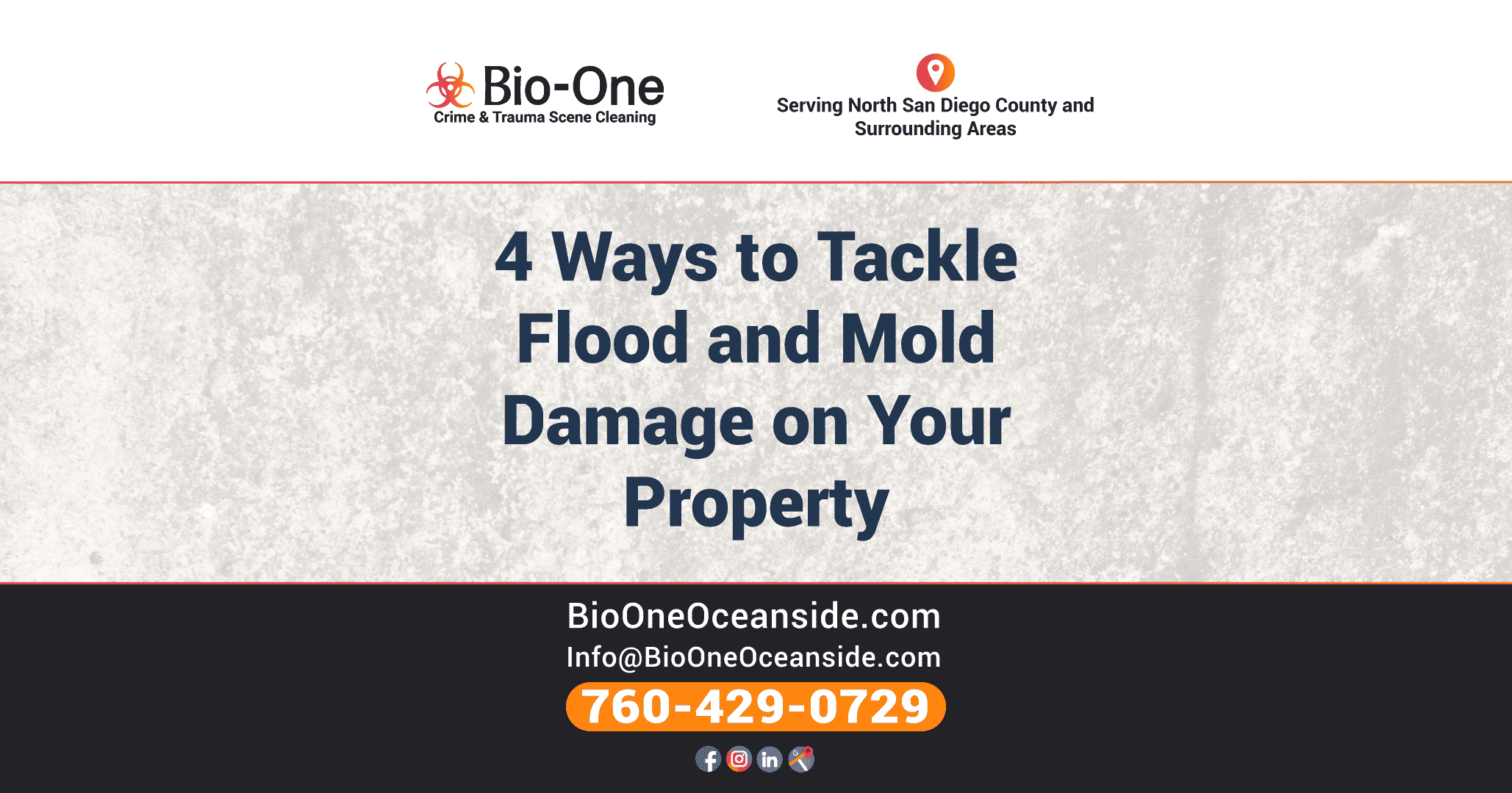 4 Ways to Tackle Flood and Mold Damage on Your Property