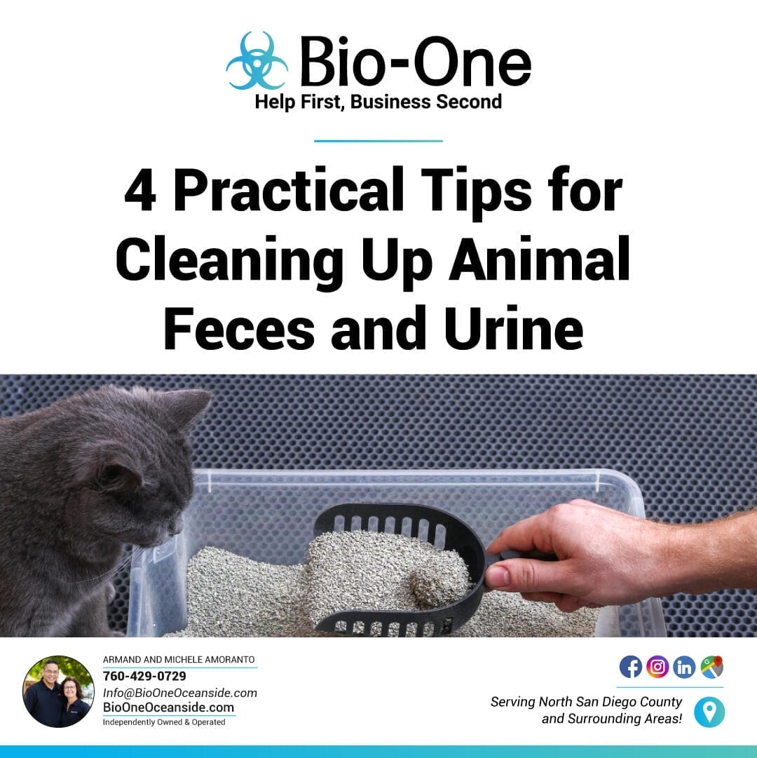 4 Practical Tips for Cleaning Up Animal Feces and Urine - Bio-One of Oceanside